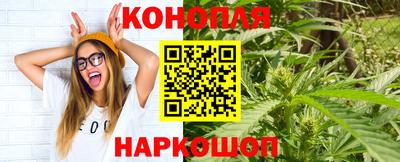 крисы Пыть-Ях