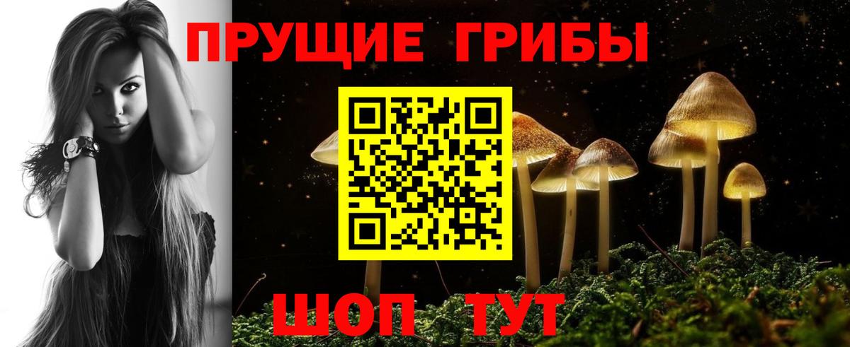 Псилоцибиновые грибы Psilocybine cubensis Новочебоксарск