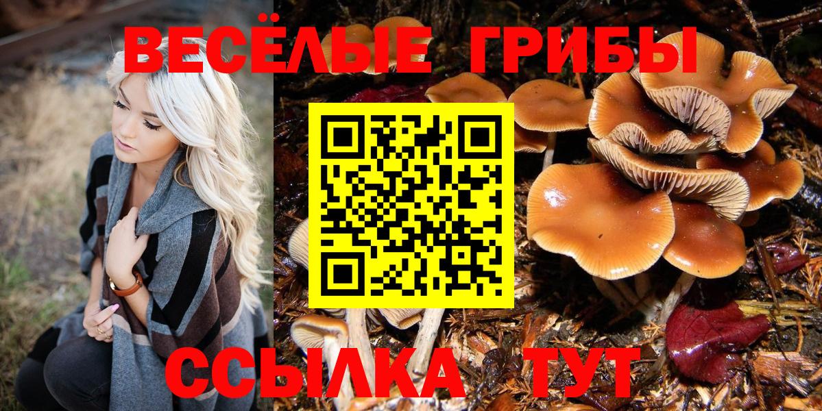 цена наркотик  Галлюциногенные грибы ЛСД  Вход с VPN  Новочебоксарск 